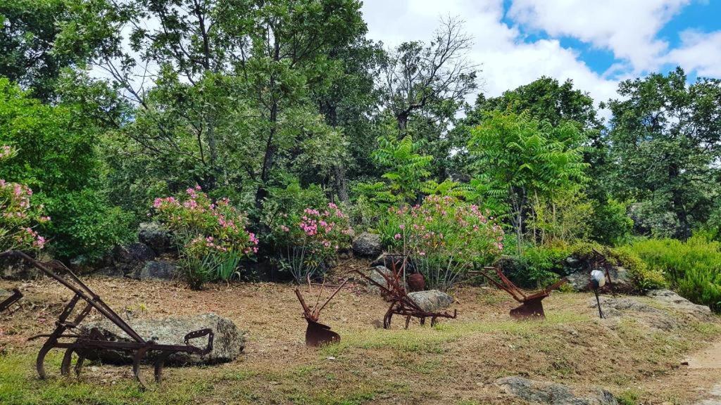 Las Casas De Agapito Poyales Del Hoyo Luaran gambar
